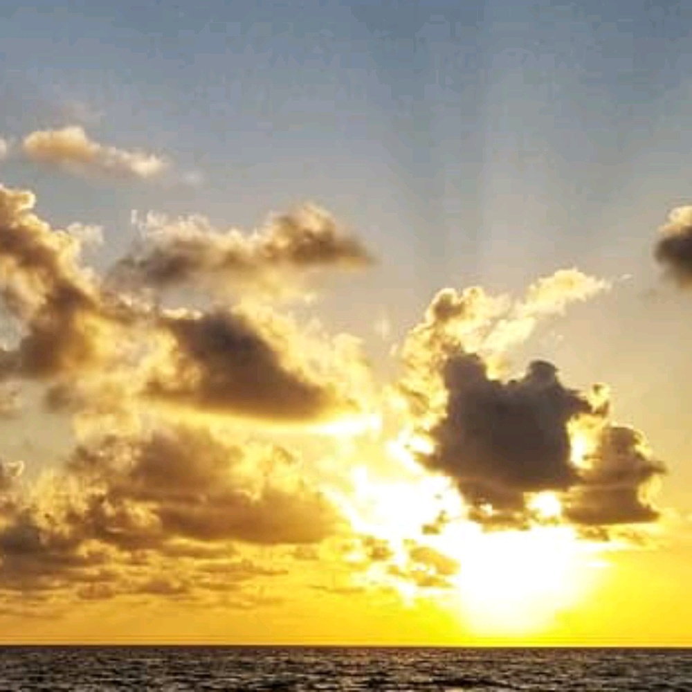 Welcome to the Closet!